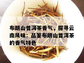 布朗山普洱茶香气，探寻云南风味：品鉴布朗山普洱茶的香气特色