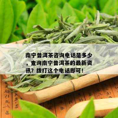 南宁普洱茶咨询电话是多少，查询南宁普洱茶的最新资讯？拨打这个电话即可！