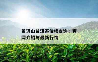 景迈山普洱茶价格查询：官网介绍与最新行情