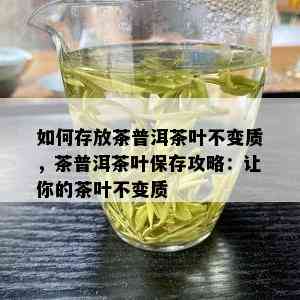 如何存放茶普洱茶叶不变质，茶普洱茶叶保存攻略：让你的茶叶不变质