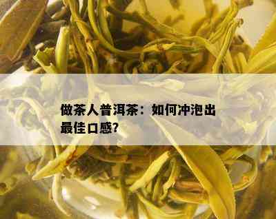 做茶人普洱茶：如何冲泡出更佳口感？