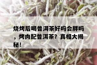 烧烤后喝普洱茶好吗会胖吗，烤肉配普洱茶？真相大揭秘！