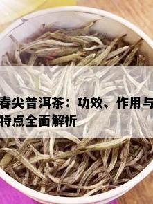 春尖普洱茶：功效、作用与特点全面解析