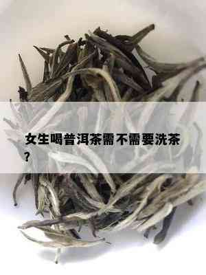 女生喝普洱茶需不需要洗茶？