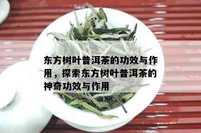 东方树叶普洱茶的功效与作用，探索东方树叶普洱茶的神奇功效与作用