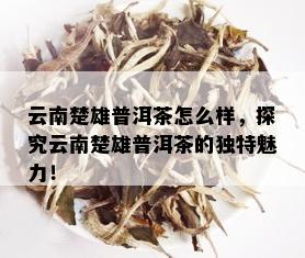 云南楚雄普洱茶怎么样，探究云南楚雄普洱茶的独特魅力！