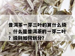 普洱茶一芽二叶的算什么级，什么是普洱茶的一芽二叶？级别如何划分？