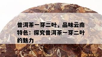 普洱茶一芽二叶，品味云南特色：探究普洱茶一芽二叶的魅力