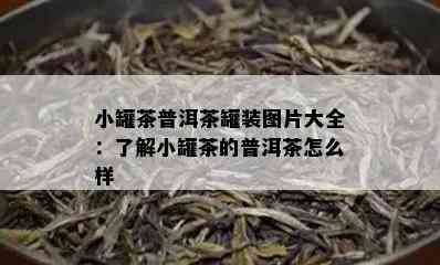 小罐茶普洱茶罐装图片大全：了解小罐茶的普洱茶怎么样