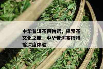 中华普洱茶博物馆，探索茶文化之旅：中华普洱茶博物馆深度体验