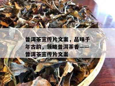 普洱茶宣传片文案，品味千年古韵，领略普洱茶香——普洱茶宣传片文案