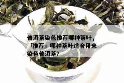 普洱茶染色推荐哪种茶叶，「推荐」哪种茶叶适合用来染色普洱茶？