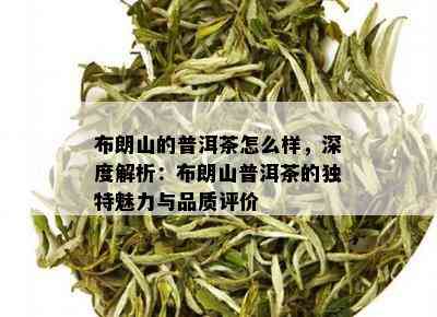 布朗山的普洱茶怎么样，深度解析：布朗山普洱茶的独特魅力与品质评价