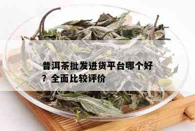 普洱茶批发进货平台哪个好？全面比较评价