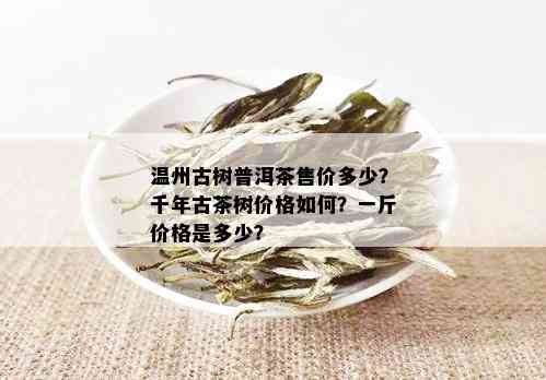 温州古树普洱茶售价多少？千年古茶树价格如何？一斤价格是多少？