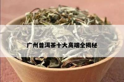 广州普洱茶十大高端全揭秘