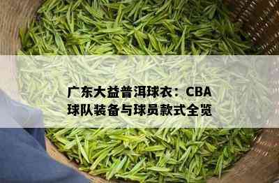 广东大益普洱球衣：CBA球队装备与球员款式全览