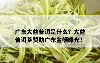 广东大益普洱是什么？大益普洱茶赞助广东金额曝光！