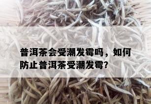 普洱茶会受潮发霉吗，如何防止普洱茶受潮发霉？