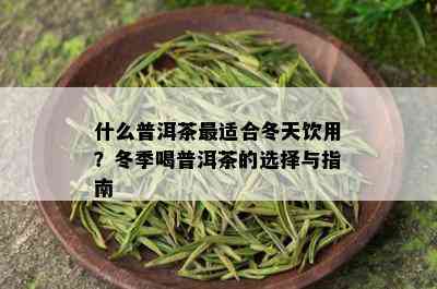 什么普洱茶最适合冬天饮用？冬季喝普洱茶的选择与指南