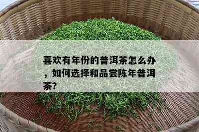 喜欢有年份的普洱茶怎么办，如何选择和品尝陈年普洱茶？