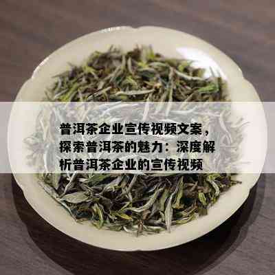 普洱茶企业宣传视频文案，探索普洱茶的魅力：深度解析普洱茶企业的宣传视频