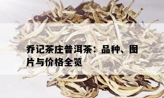 乔记茶庄普洱茶：品种、图片与价格全览