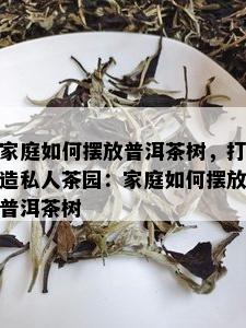 家庭如何摆放普洱茶树，打造私人茶园：家庭如何摆放普洱茶树