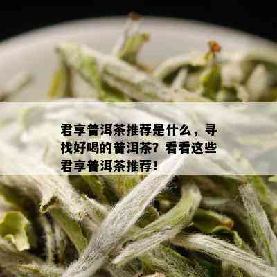 君享普洱茶推荐是什么，寻找好喝的普洱茶？看看这些君享普洱茶推荐！