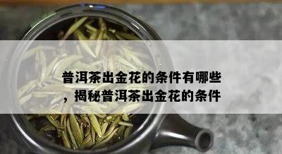 普洱茶出金花的条件有哪些，揭秘普洱茶出金花的条件