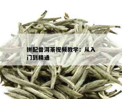 拼配普洱茶视频教学：从入门到精通