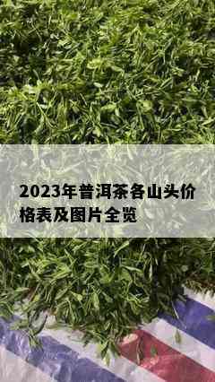 2023年普洱茶各山头价格表及图片全览