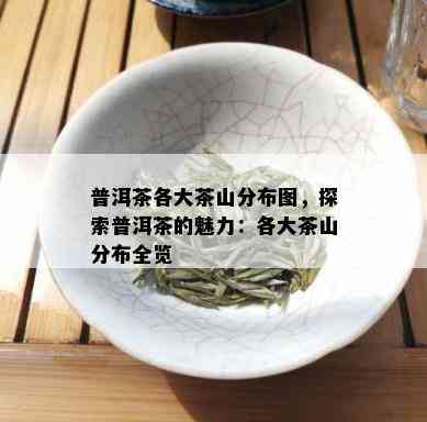 普洱茶各大茶山分布图，探索普洱茶的魅力：各大茶山分布全览