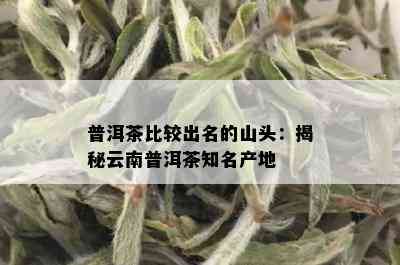 普洱茶比较出名的山头：揭秘云南普洱茶知名产地