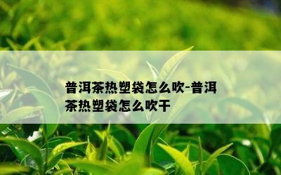 普洱茶热塑袋怎么吹-普洱茶热塑袋怎么吹干