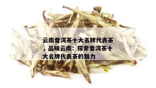 云南普洱茶十大名牌代表茶，品味云南：探索普洱茶十大名牌代表茶的魅力