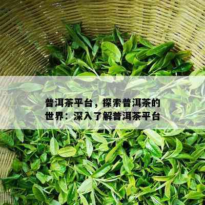 普洱茶平台，探索普洱茶的世界：深入了解普洱茶平台