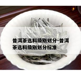 普洱茶选料级别划分-普洱茶选料级别划分标准