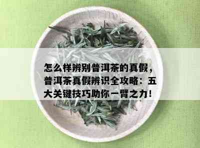 怎么样辨别普洱茶的真假，普洱茶真假辨识全攻略：五大关键技巧助你一臂之力！