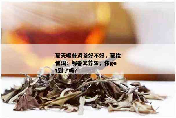 夏天喝普洱茶好不好，夏饮普洱：解暑又养生，你get到了吗？