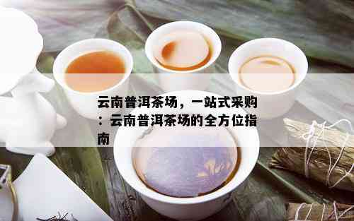 云南普洱茶场，一站式采购：云南普洱茶场的全方位指南