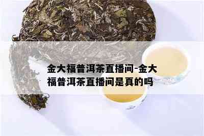 金大福普洱茶直播间-金大福普洱茶直播间是真的吗