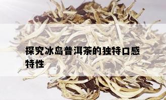 探究冰岛普洱茶的独特口感特性