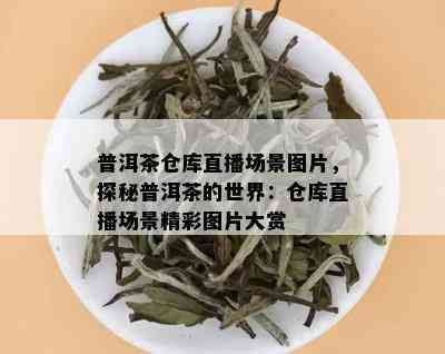 普洱茶仓库直播场景图片，探秘普洱茶的世界：仓库直播场景精彩图片大赏