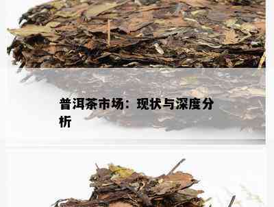 普洱茶市场：现状与深度分析