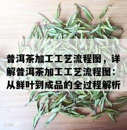 普洱茶加工工艺流程图，详解普洱茶加工工艺流程图：从鲜叶到成品的全过程解析