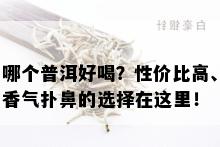 哪个普洱好喝？性价比高、香气扑鼻的选择在这里！