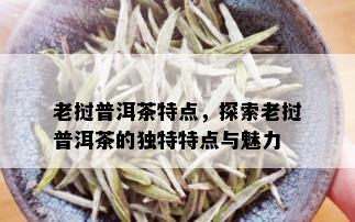 老挝普洱茶特点，探索老挝普洱茶的独特特点与魅力