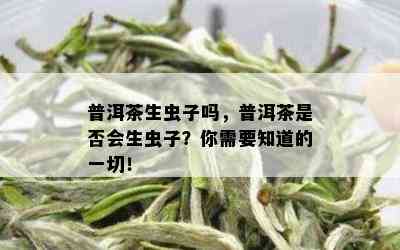 普洱茶生虫子吗，普洱茶是否会生虫子？你需要知道的一切！