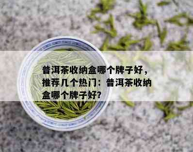 普洱茶收纳盒哪个牌子好，推荐几个热门：普洱茶收纳盒哪个牌子好？